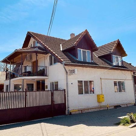 Casa Debora Hotel Haţeg Екстериор снимка