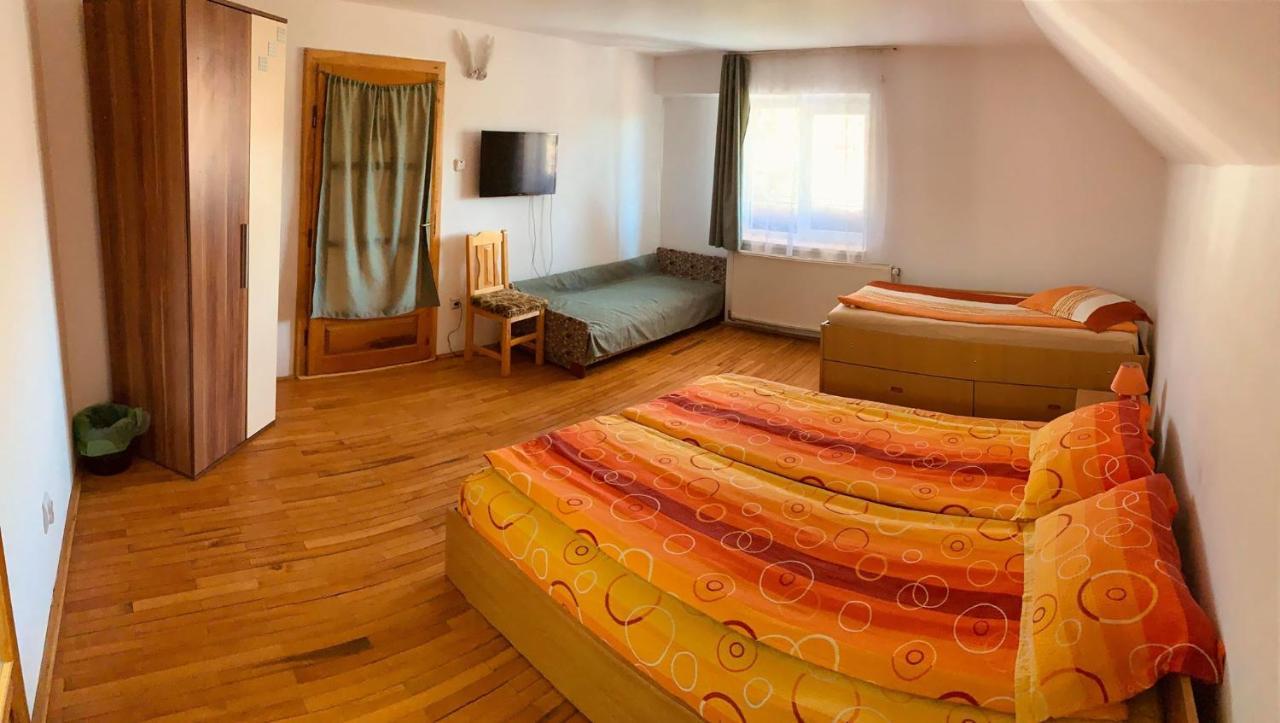 Casa Debora Hotel Haţeg Екстериор снимка