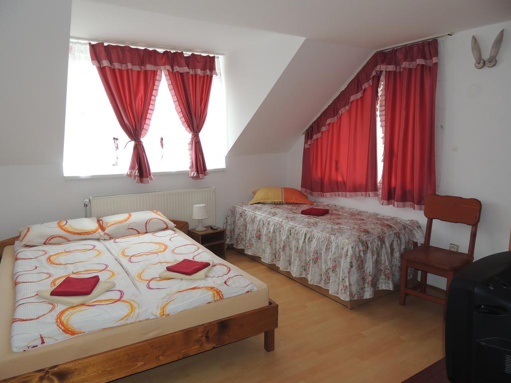 Casa Debora Hotel Haţeg Екстериор снимка