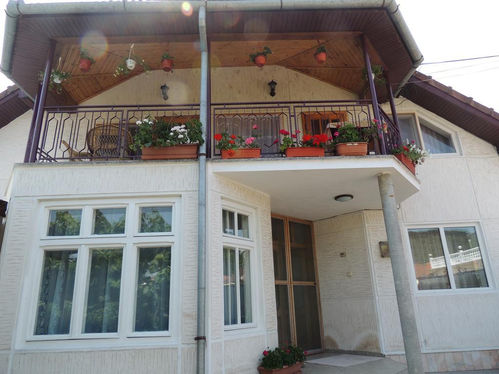 Casa Debora Hotel Haţeg Екстериор снимка